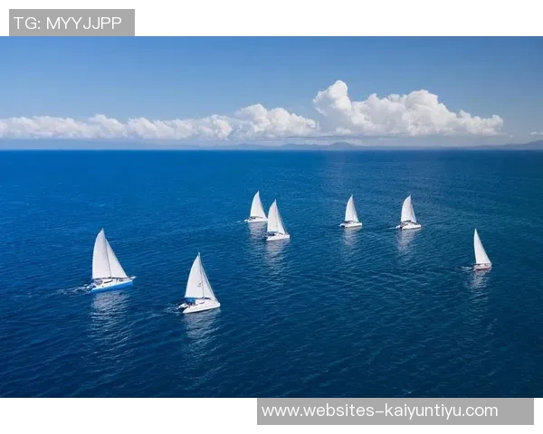 恩佐的成长之路：从梦想起航到实现自我价值的探索与奋斗